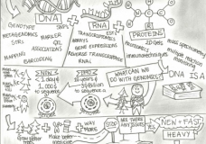 What is Genomics?