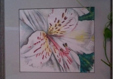 Icy flower