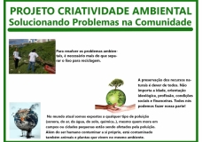 Environmental Creativity