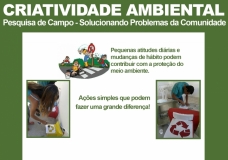 Environmental Creativity