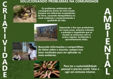 Environmental Creativity