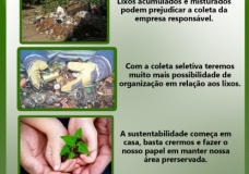 Environmental Creativity