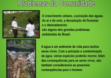 Environmental Creativity