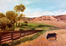 Home on the Range