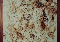 menstrual blood picture 09/03