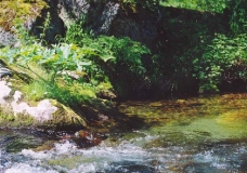 Источник жизни - вода