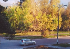 Осень в городе