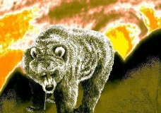 Grizzly Bear sunset