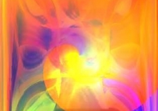 EMBRYO