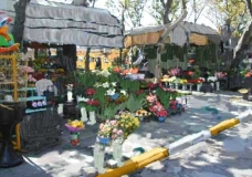 FLORIST
