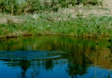 синяя вода
