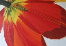Red Tulip