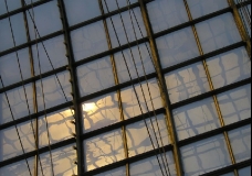 shadowcatArchitect_6
