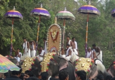 Elephants ready for the temple prayers