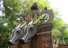 South India Festival