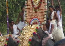 South India Festival