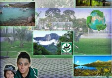 Environment