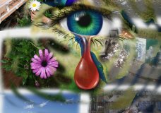 Environment