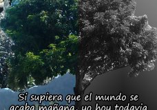 Environment
