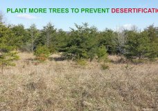 Prevent Deforestation