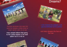 Consequences of the American Dream