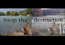Stop the Destruction