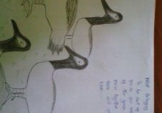 MY UNDERSTANDING OF BELONGING(THE GEESE FAMILY)