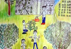 Organic garden dream