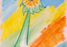 Jarra - Sunflower