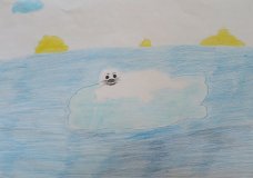 Polar Bears: Arviat
