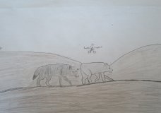 Arviat 5