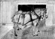 Work Horses