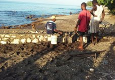 Building the dock