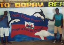 Haiti Ocean Project