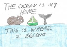 ocean is my home