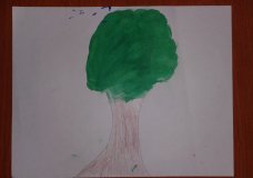 Cuidemos los arboles