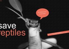Save Reptiles