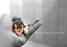 All are Important