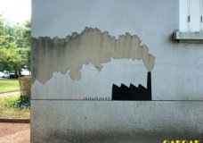 We need to take care of the environment
