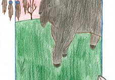 The Lone Bison