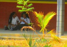 Amistad