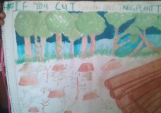 #If you cut down one tree,Plant two