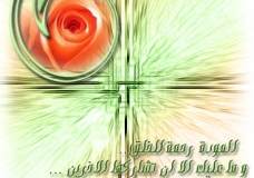 Digital Rose