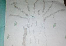 Climatic change