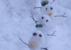 Canadian Diversity