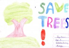 SAVE TREES