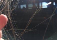 Exposition in isolation