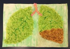 Earth Lungs