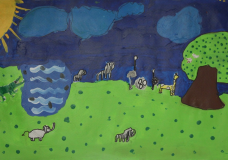 St Jude School - Animals