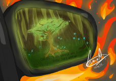 Objects in the Mirror are Closer than they Appear